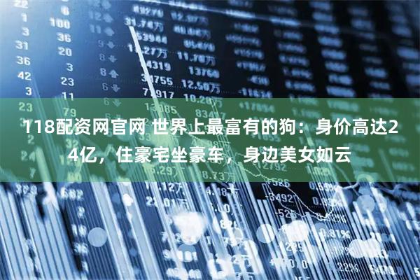 118配资网官网 世界上最富有的狗：身价高达24亿，住豪宅坐豪车，身边美女如云
