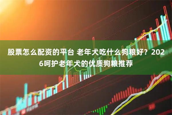 股票怎么配资的平台 老年犬吃什么狗粮好？2026呵护老年犬的优质狗粮推荐