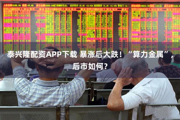 泰兴隆配资APP下载 暴涨后大跌！“算力金属”，后市如何？